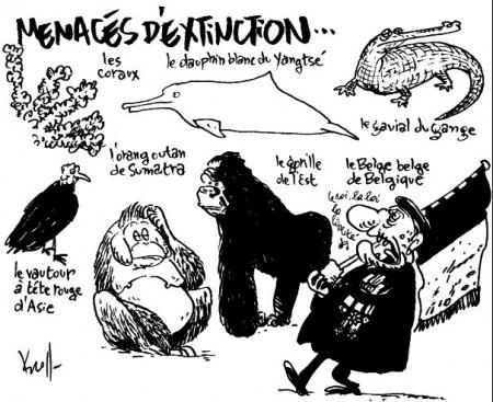 QUE NOVELES ?